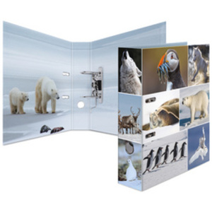 HERMA Classeur à levier 'Animals', A4, mondes de glace