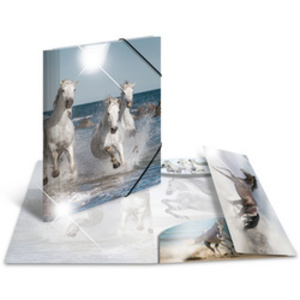 HERMA Chemise à élastiques 'chiens', PP Glossy, A3