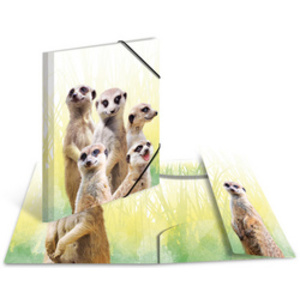 HERMA Chemise à élastiques Animaux exotiques, A4, suricates