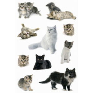 HERMA Autocollants DECOR 'Photos de chats'