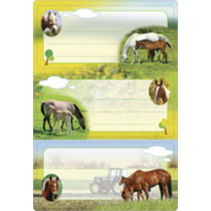 HERMA Etiquette pour livre 'Dauphins', 76 x 35 mm