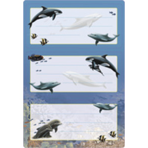 HERMA Etiquette pour livre 'Dauphins', 76 x 35 mm