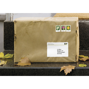 HERMA Etiquette d'expédition SPECIAL, 99,1 x 67,7 mm