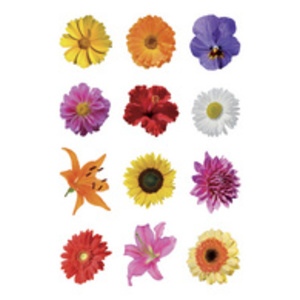 HERMA Autocollants DECOR 'Fleurs modernes'