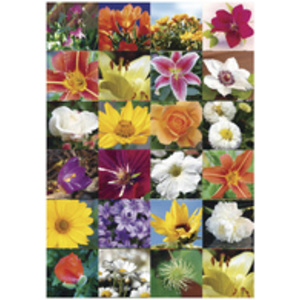 HERMA Autocollants DECOR 'Fleurs modernes'