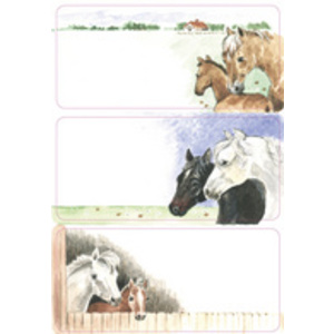 HERMA Etiquette pour livre 'Animaux africains', 76 x 35 mm