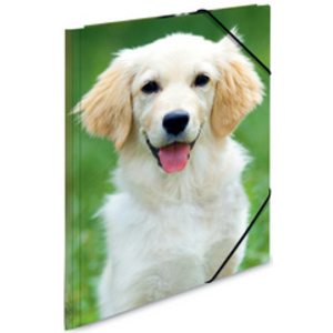 HERMA Chemise élastique 'chiens', transparent, en PP, A4,