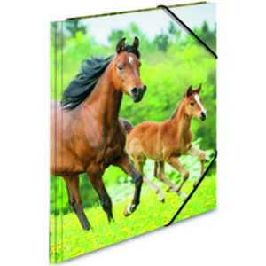 HERMA Chemise élastique 'chevaux', transparent, en PP, A4