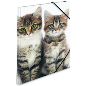 HERMA chemise élastique 'chats', en PP, A3