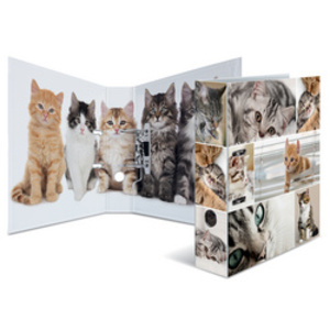 HERMA Classeur à levier à motifs 'Animals', A4, chats