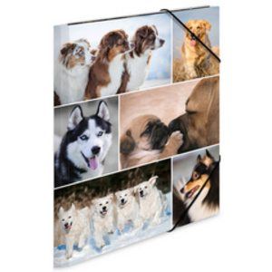 HERMA Chemise à élastiques 'chiens', en carton,