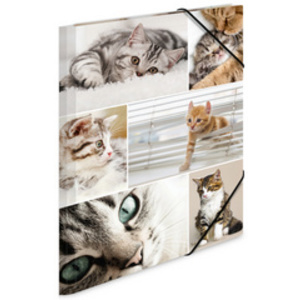 HERMA Chemise à élastiques 'chats', en carton,