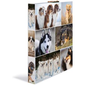 HERMA Classeur à anneaux 'Animals'chiens,A4,mécanisme à 2 anneaux,