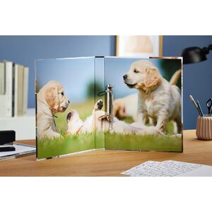 HERMA Classeur à anneaux 'Animals'chiens,A4,mécanisme à 2 anneaux,