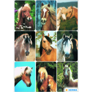 HERMA Sticker DECOR Monde du cheval, en papier