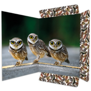 RNK Verlag Carton à dessin 'Tigre', A3