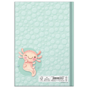 RNK Verlag Carnet de notes 'Axolotl', A5, 96 feuilles