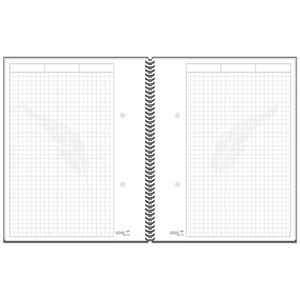 RNK Verlag Cahier spirale 'Business blau', A5, quadrillé