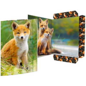 RNK Verlag Carton à dessin 'Corgi', carton, A3