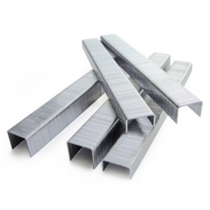 TACWISE Agrafes 13/8 mm, fin, galvanisé