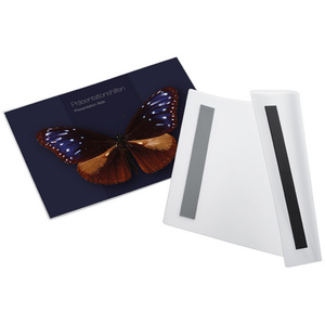 magnetoplan Pochette magnétique magnetofix, A4 paysage