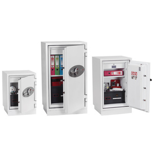 phoenix Coffre-fort pour données DATACOMBI DS2502E