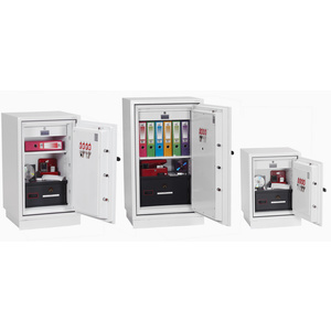 phoenix Coffre-fort pour données DATACOMBI DS2501F