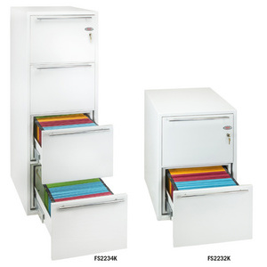 phoenix Dispositif de protection de données FSDPI08