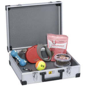 allit Mallette d'aluminium 'AluPlus Basic', taille L, argent