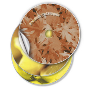 AVERY Etiquette CD Classique, diamètre: 117 mm, blanc