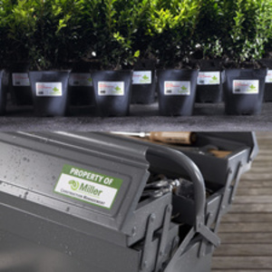 AVERY Etiquette, ultra-résistant, 99,1 x 38,1 mm, blanc