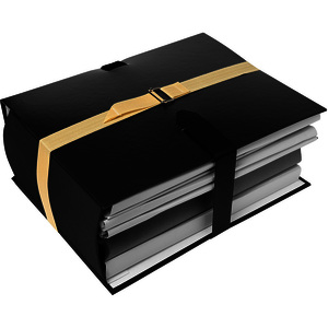 EXACOMPTA Sangle pour chemise de classement, beige