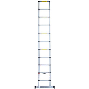 pavo Echelle télescopique en aluminium, 10 barreaux