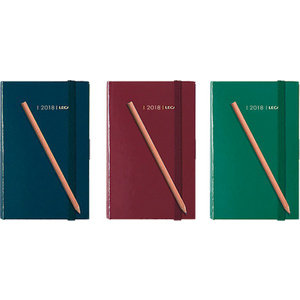 LECAS Agenda journalier Chantier, 80 x 130 mm, 2026, assorti