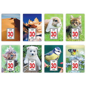 LECAS Calendrier éphéméride mural NATURE, bloc comique, 2026