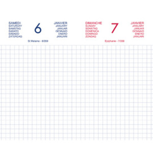 LECAS Agenda journalier Chantier, 2026, 90 x 150 mm, assorti