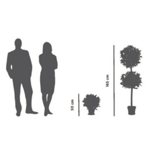 PAPERFLOW Plante artificielle 'Laurier', hauteur : 500 mm