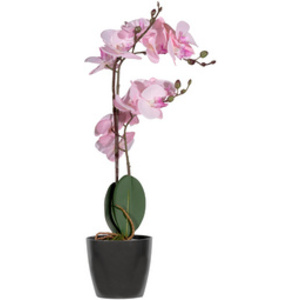 PAPERFLOW Plante artificielle 'orchidée', (H)400 mm, blanc