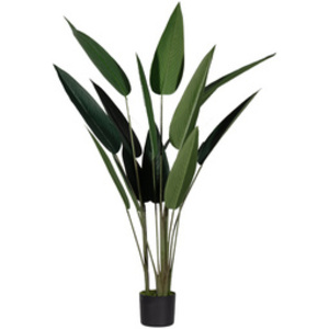 PAPERFLOW Plante artificielle 'oiseau de paradis', (H)1,15 m