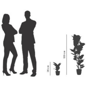 PAPERFLOW Plante artificielle 'caoutchouc', hauteur 1.200 mm