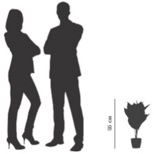 PAPERFLOW Plante artificielle 'fleur de lune', (H)550 mm