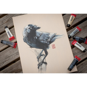 ROYAL TALENS Peinture acrylique AMSTERDAM, set de gris