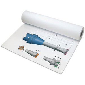 Inapa Rouleau de papier pour traceur grand format, blanc