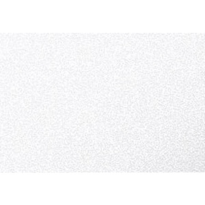 Pollen by Clairefontaine Carte 82 x 128 mm, argent