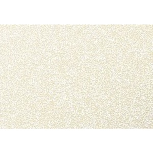 Pollen by Clairefontaine Carte 82 x 128 mm, clémentine