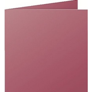 Pollen by Clairefontaine Carte double 135 mm, blanc