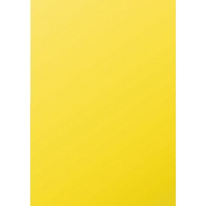 Pollen by Clairefontaine Papier A4, chamois