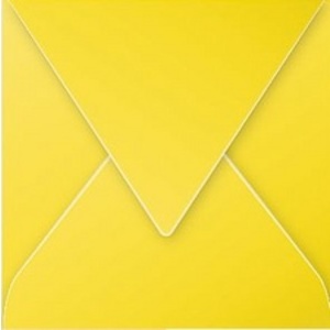 Pollen by Clairefontaine Enveloppes 120 x 120 mm, blanc