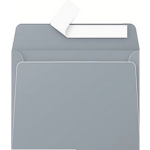 Pollen by Clairefontaine Enveloppes 90 x 140 mm, argent
