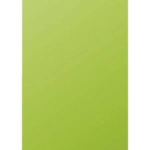 Pollen by Clairefontaine Papier A4, noir